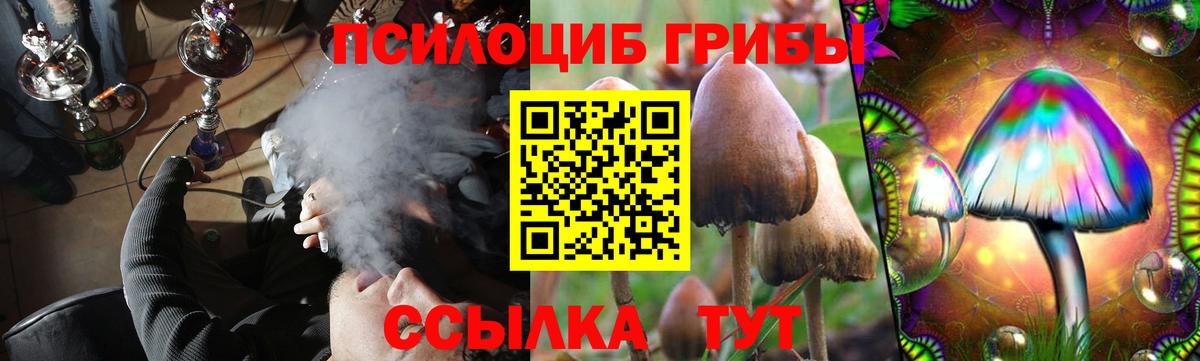 Псилоцибиновые грибы мухоморы Элиста