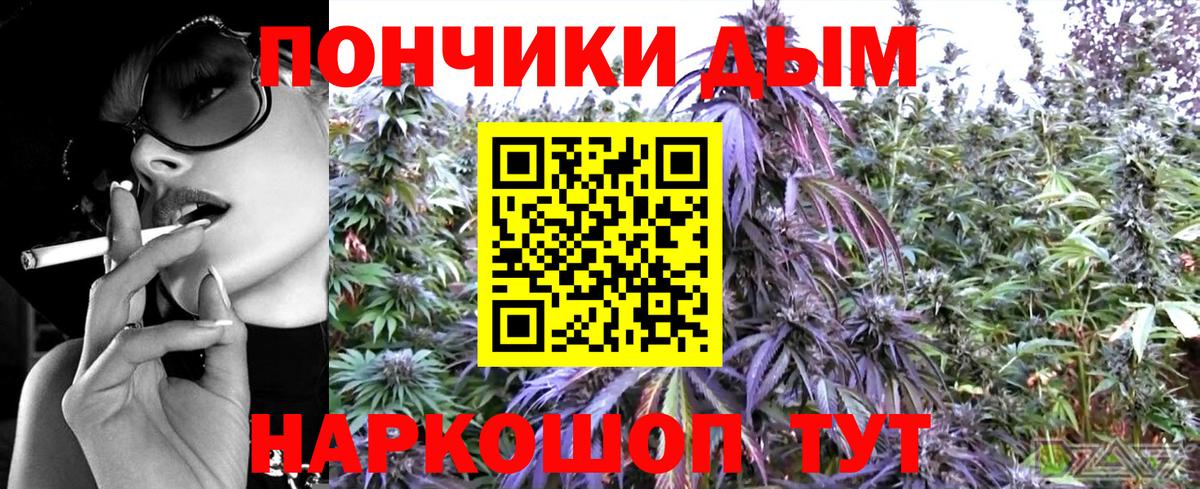Элиста  МАРИХУАНА OG Kush  Шишки марихуана тримм  Вход с VPN  Каннабис THC 21% 